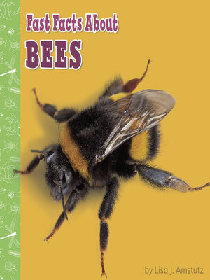 cover image of Fast Facts About Bees